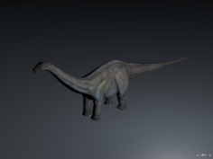 Brontosaurus 3D Model