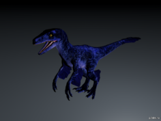 Microraptor 3D Model