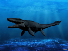 Mosasaurus 3D Model