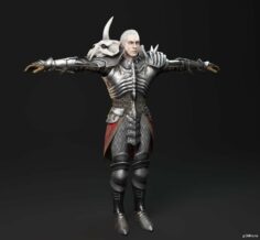 Necromancer 3D Model