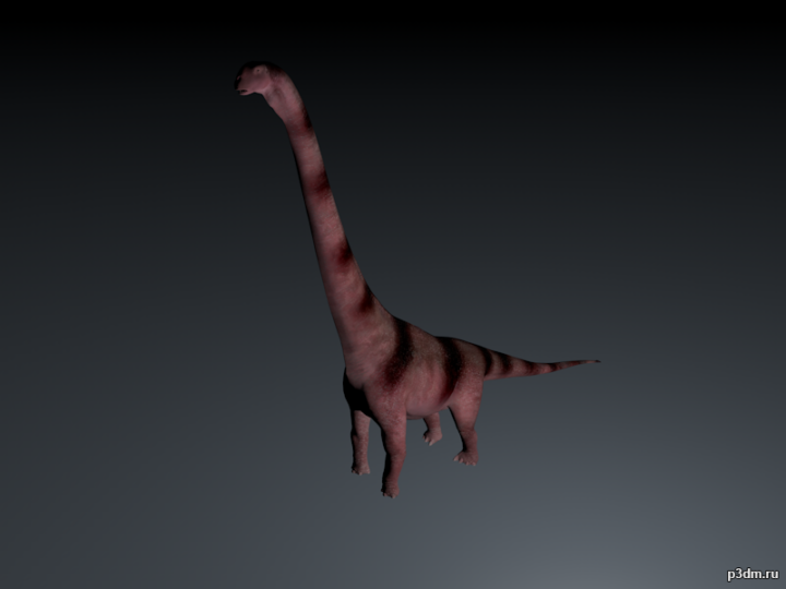 Omeisaurus 3D Model