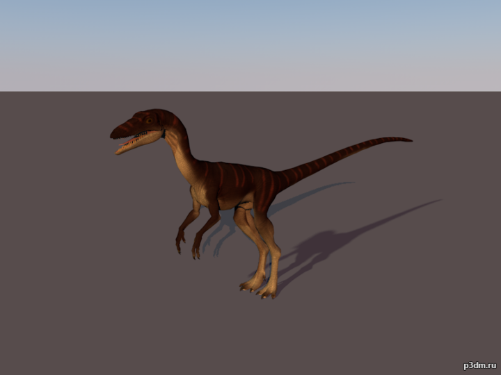 Segisaurus 3D Model