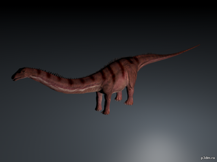 Seismosaurus 3D Model