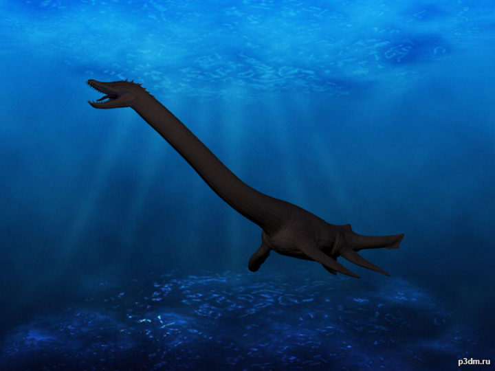 Elasmosaurus 3D Model