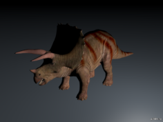 Eotriceratops 3D Model