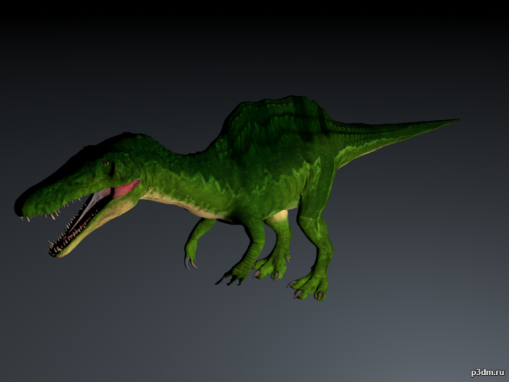 Sigilmassasaurus 3D Model