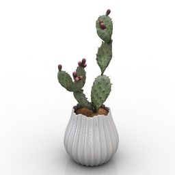 Cactus 3D Model