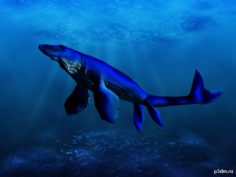 Metriorhynchus 3D Model