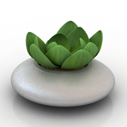 Plant 3D Model