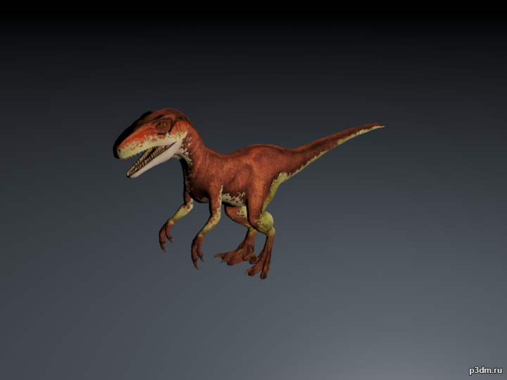 Atrociraptor 3D Model