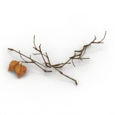 Branches 3D Model