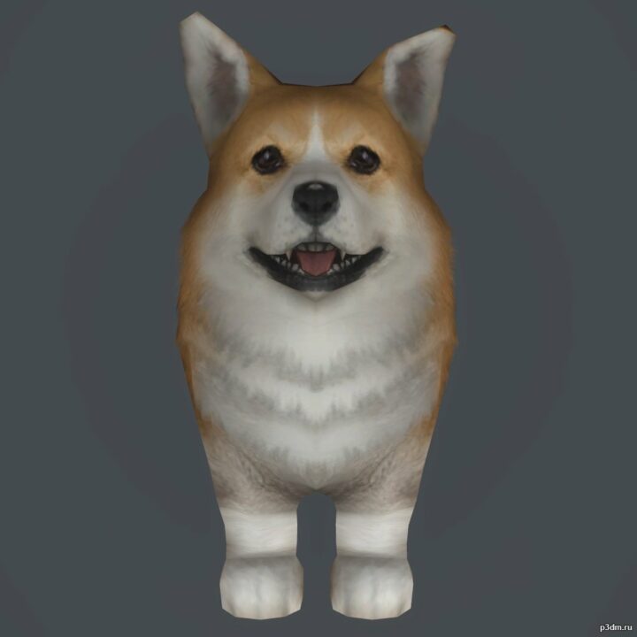 Corgi 3D Model