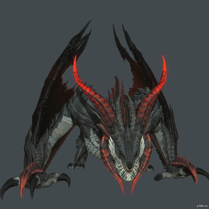 Elculous Dragon 3D Model