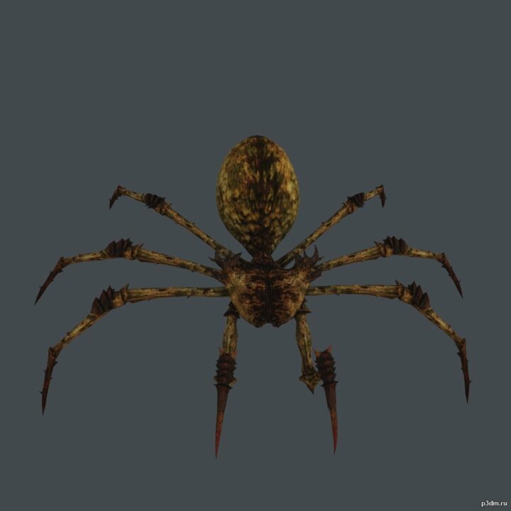 Spider Monster 3D Model