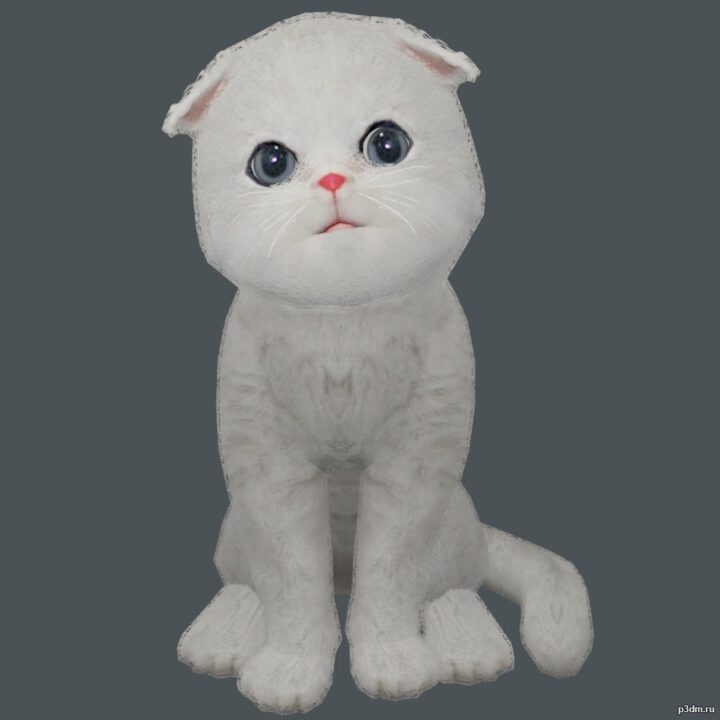 Cat 3D Model