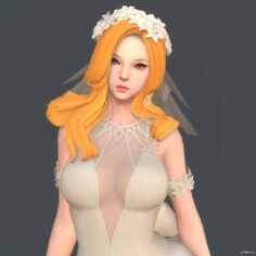 Neamhain wedding 3D Model