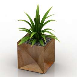 Plant 3D Model