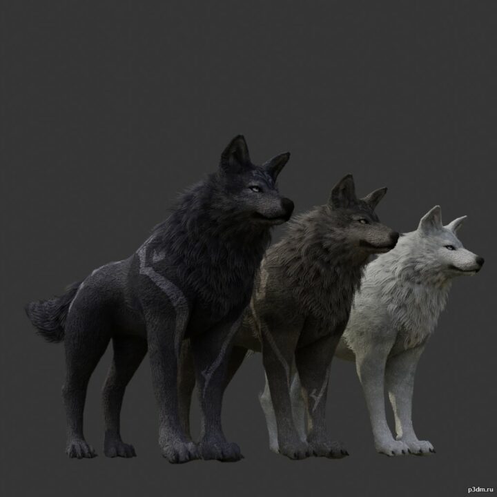 Wolf pack 2 3D Model