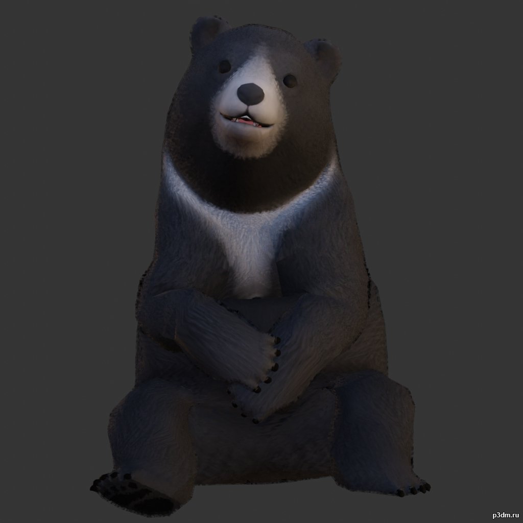 Black Bear 3D Model