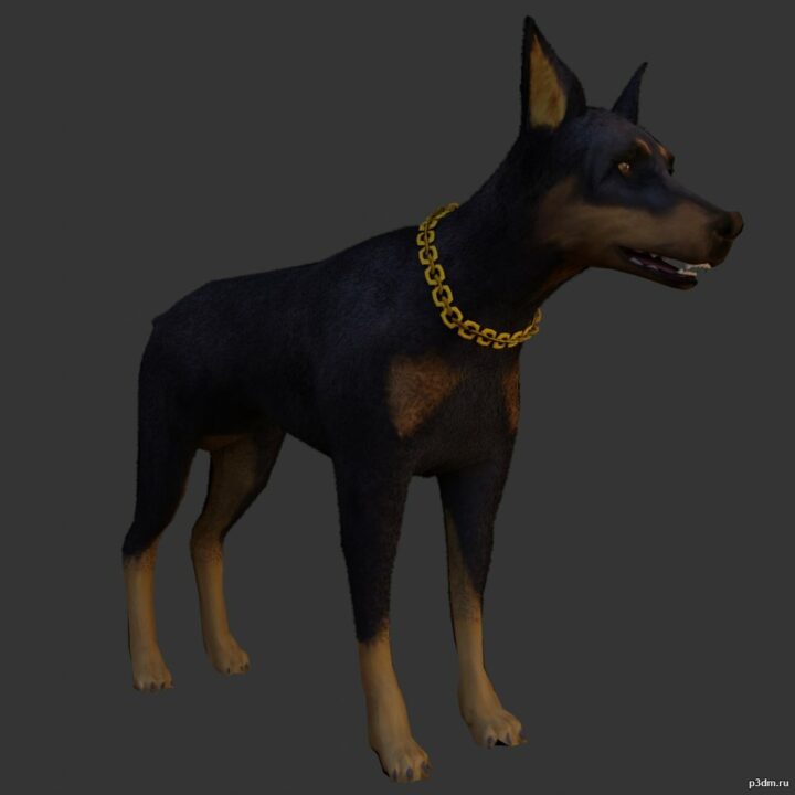 Doberman 3D Model