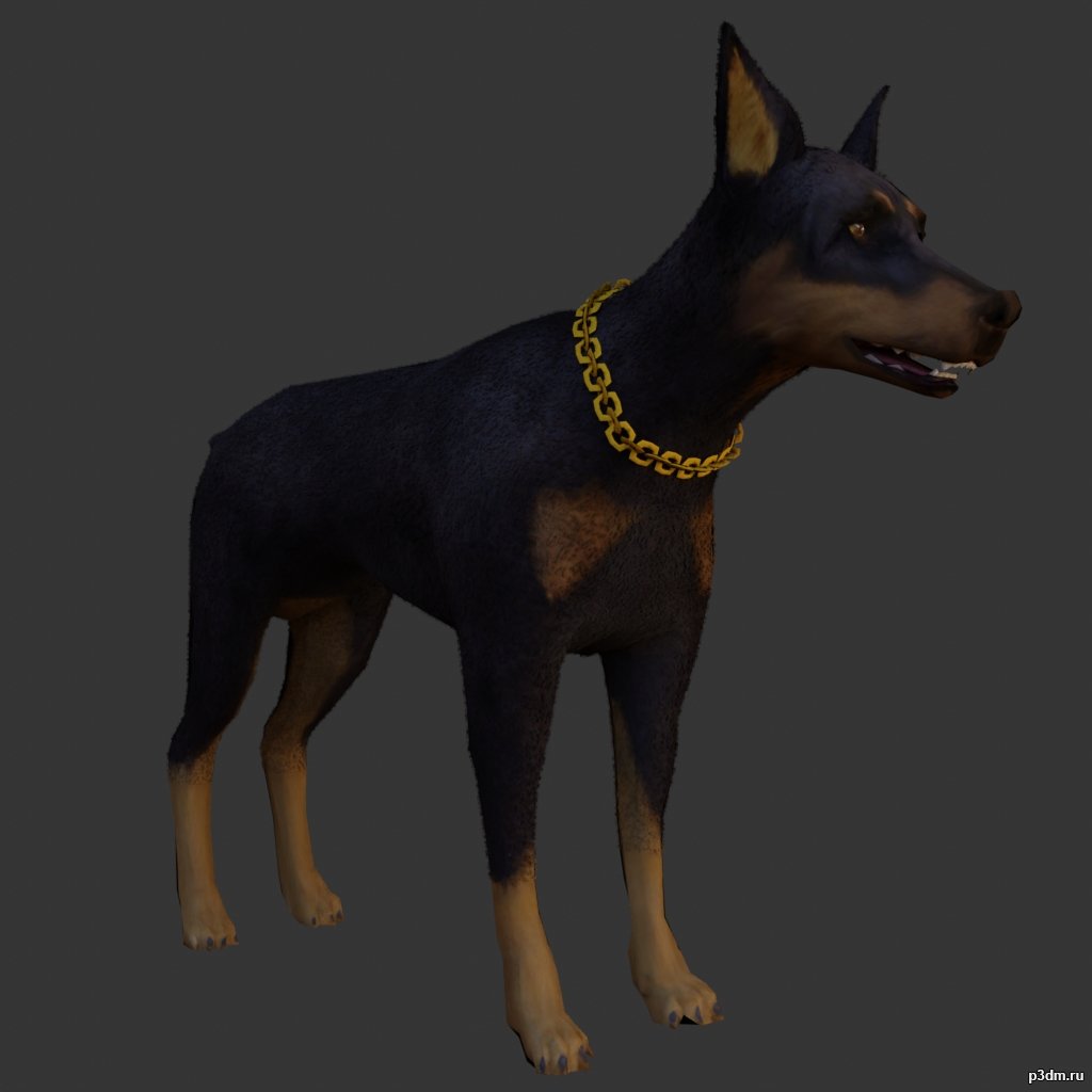 Doberman 3D Model