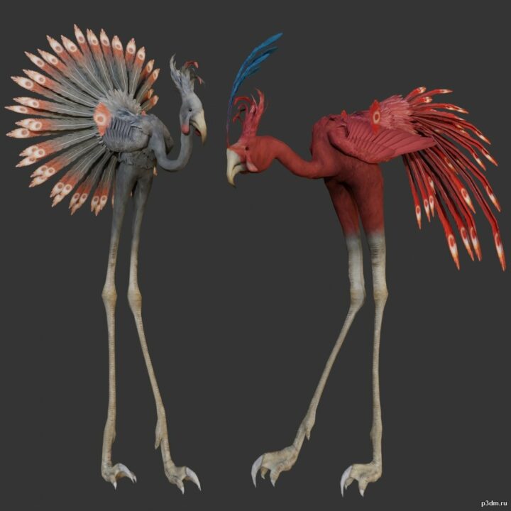 Flamingo 3D Model