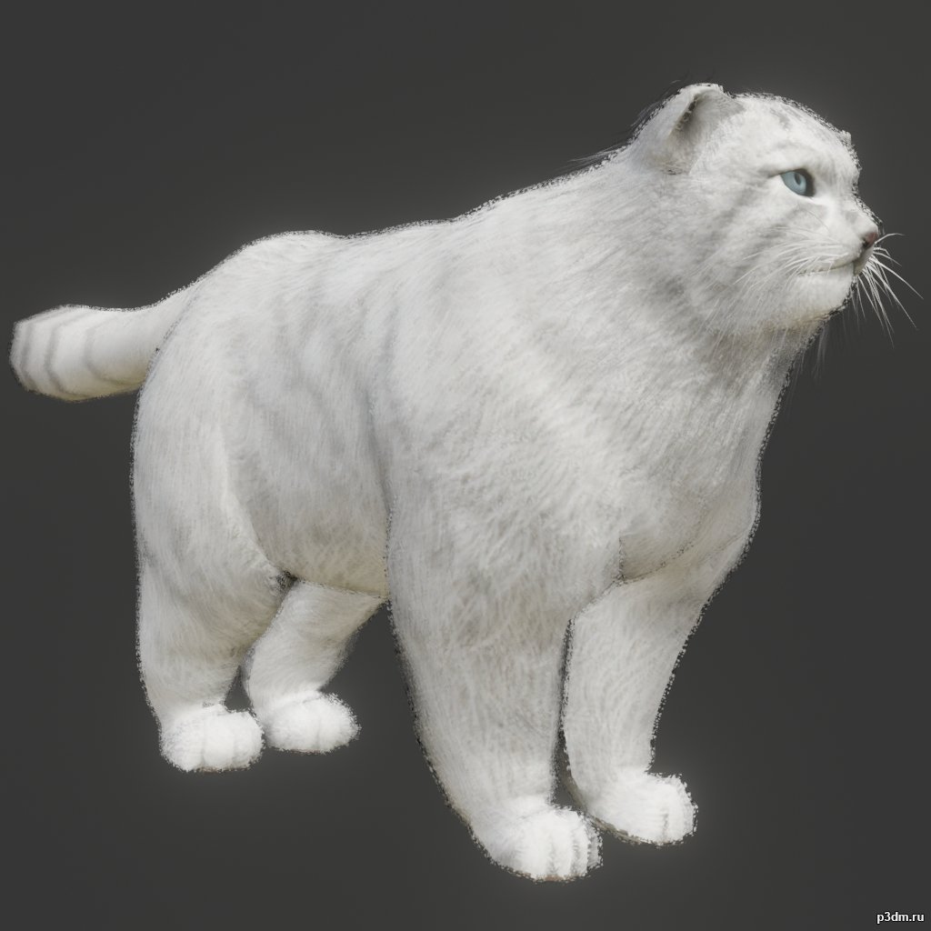 Manul 3D Model