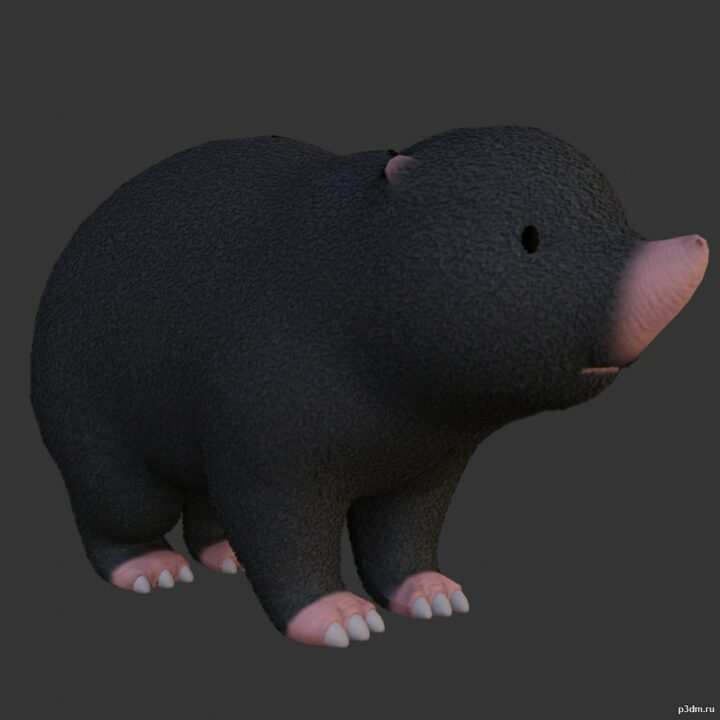 Mole 3D Model
