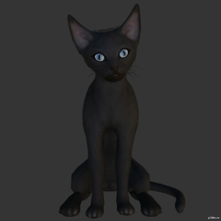 Sphynx Cats 3D Model