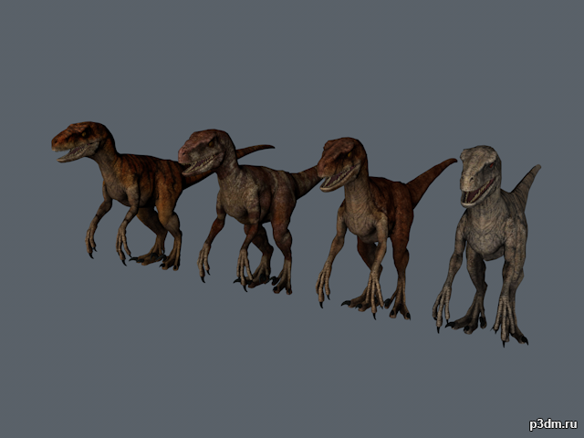 Atrociraptor 3D Model