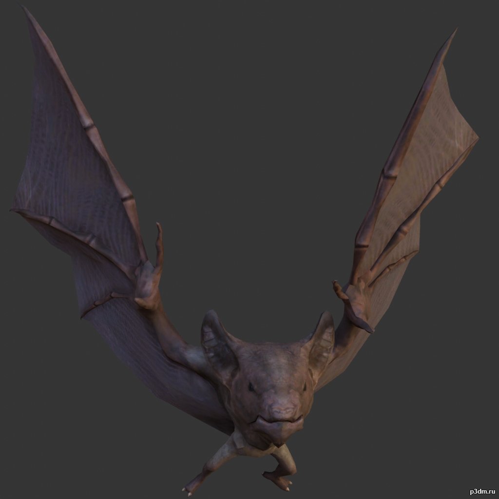 Bat 3D Model