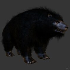 Bear pack 3D Model