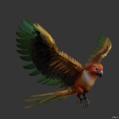 Parrot pack 3D Model
