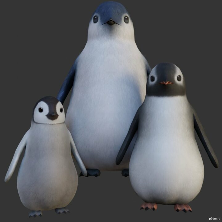 Penguins pack 3D Model