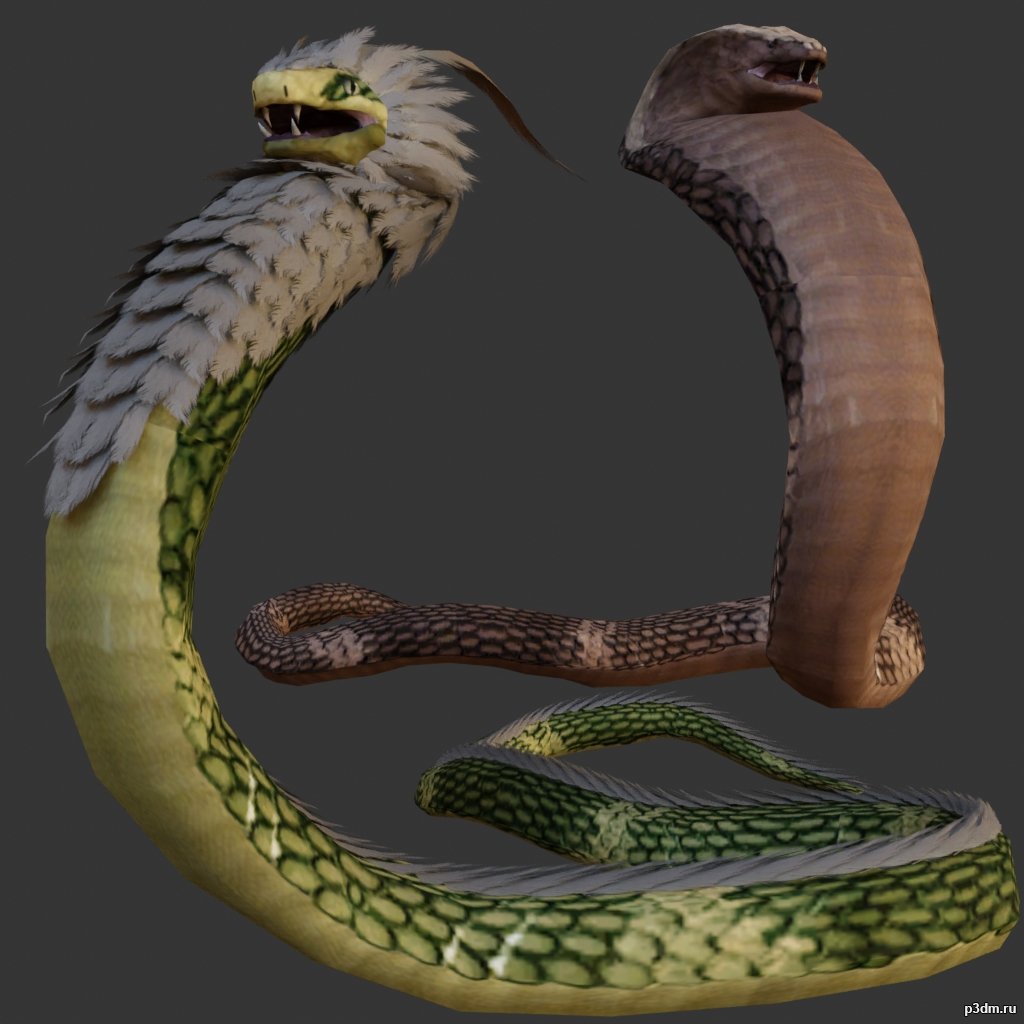 Snake 3D Model