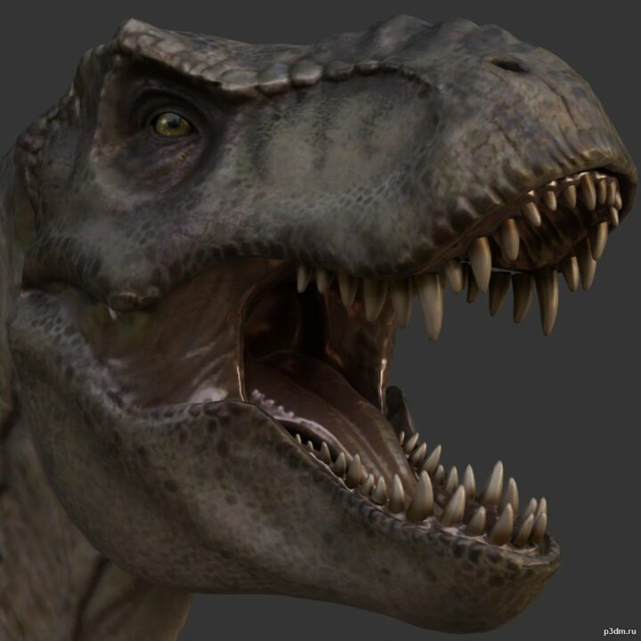Tyrannosaurus 3D Model