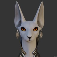 Sphynx Cat 3D Model